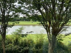 Cove Drive (D4), Terrace #438891501